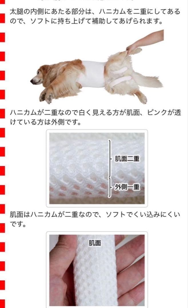 犬用介護ハーネス　アシスタントバンド　 Assistant 大型犬