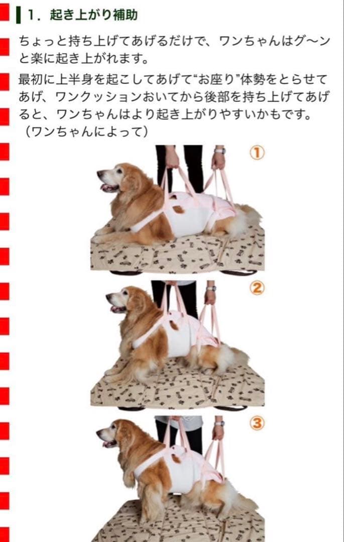 犬用介護ハーネス　アシスタントバンド　 Assistant 大型犬