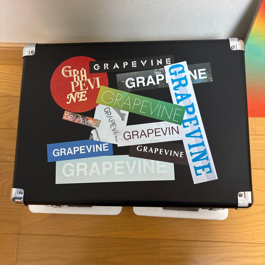GRAPEVINE ポータブルアナログプレーヤー　アナログ盤セット
