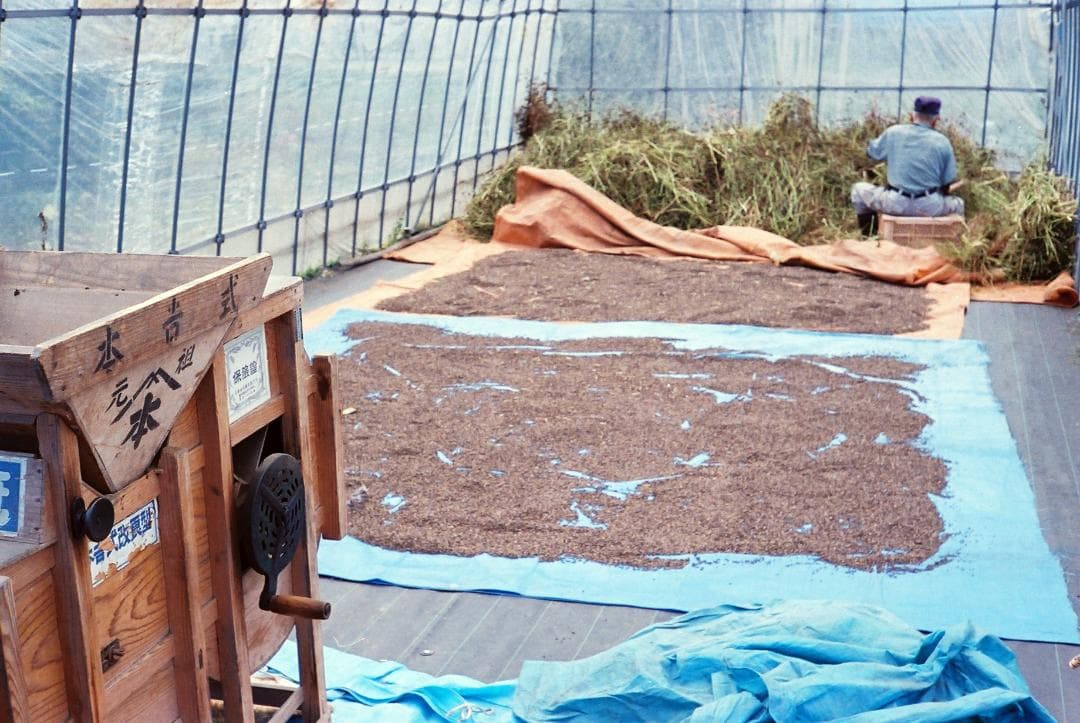 【実写確認整備品】キャノネットQL19G-Ⅲ／45mmf1.9メタルフード付