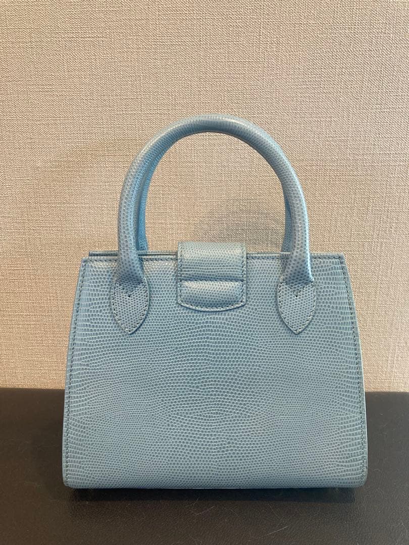 【レア】ディディエラマルト　ハンドバッグ　ショルダーバッグ　水色