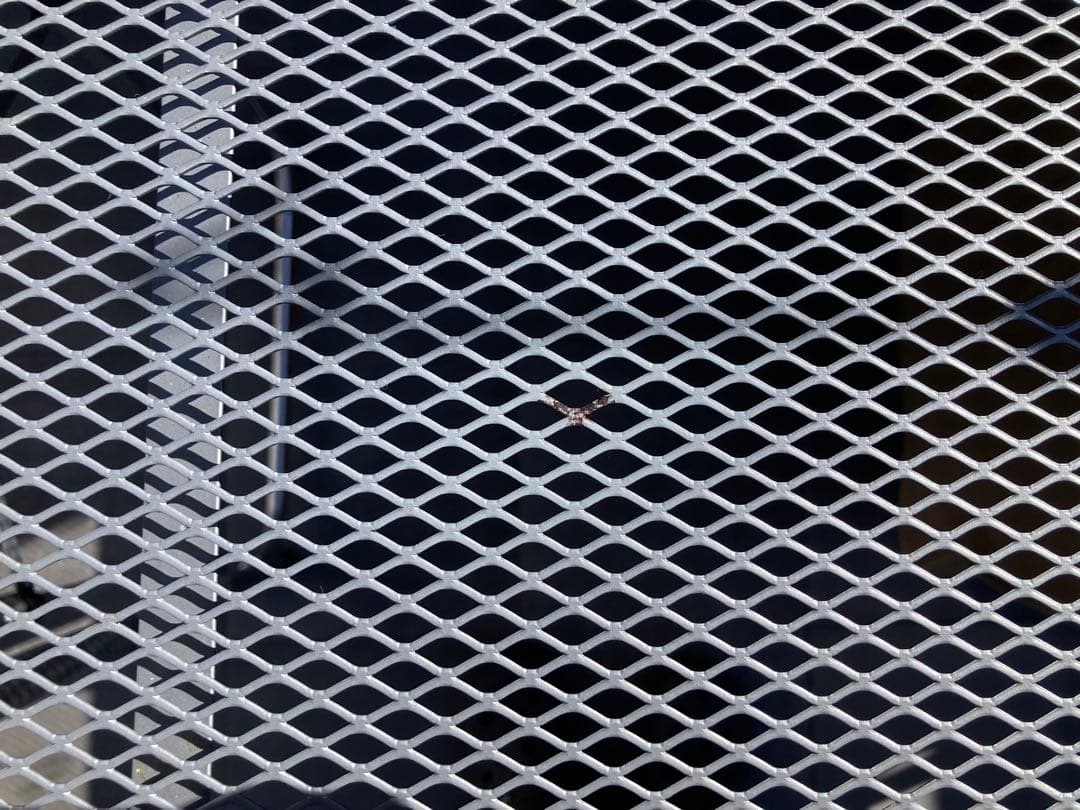 DOD クッキングキング　タン