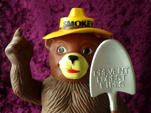【1970s】Smokey Bear DAKIN ソフビ ヴィンテージフィギュア