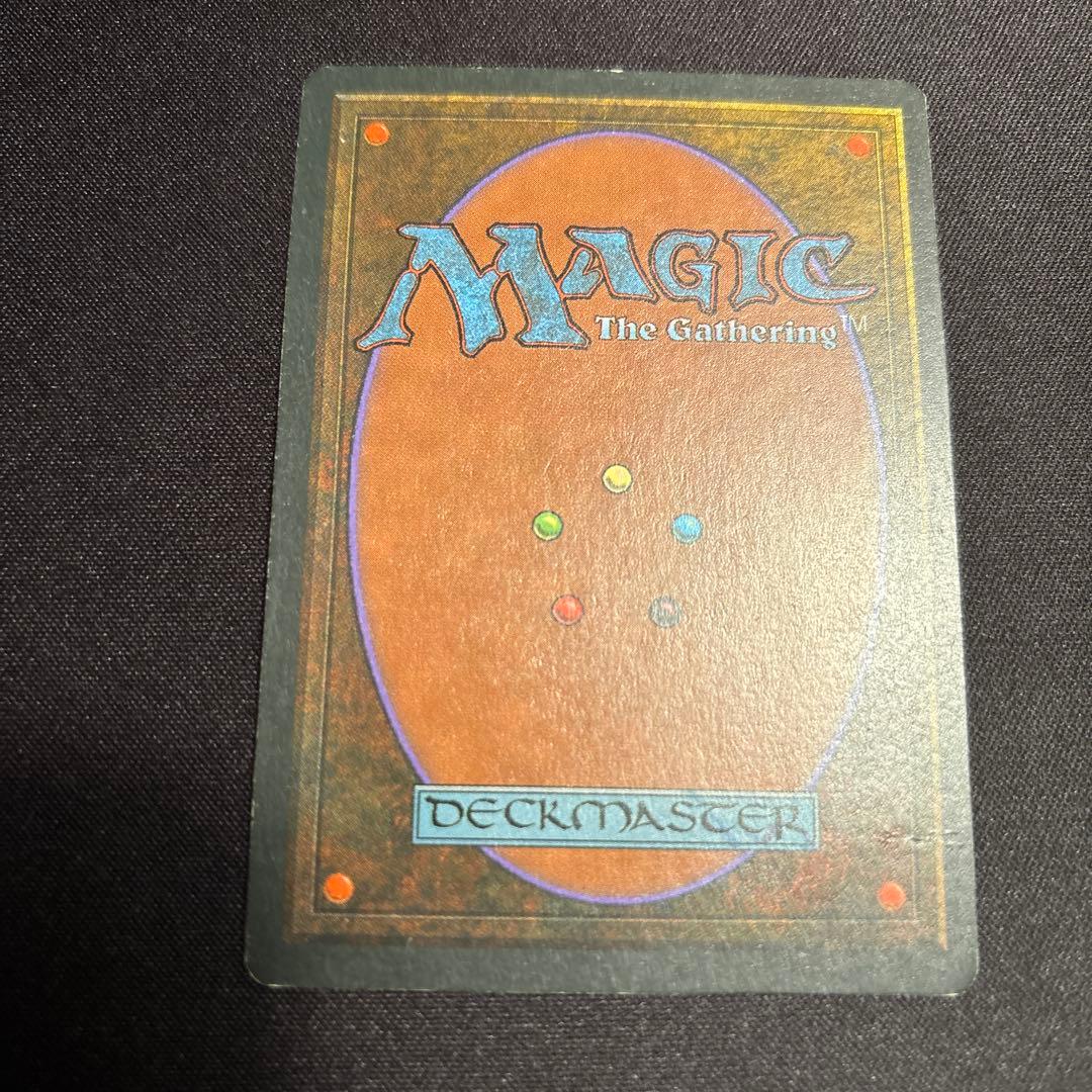 FBB Scrubland フランス語