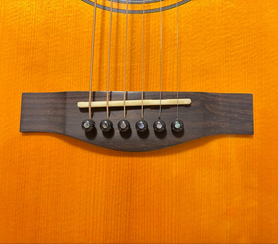 【新品】Three S W-460 スプルース単板 SUZUKI ソフトケース付