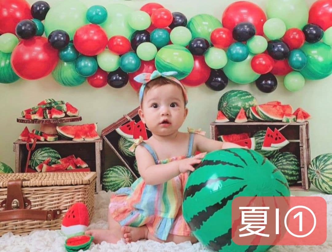 背景布×10枚+2枚プレゼント　ペット撮影用ブース　トリミングチョーカーも販売中