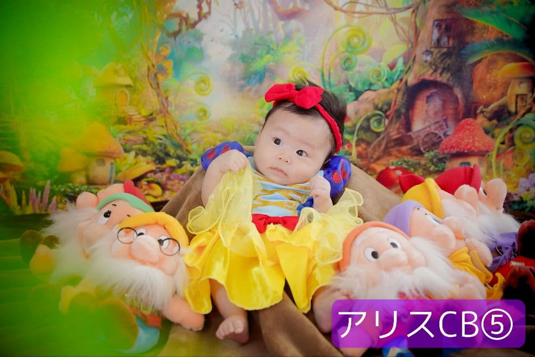 背景布×10枚+2枚プレゼント　ペット撮影用ブース　トリミングチョーカーも販売中