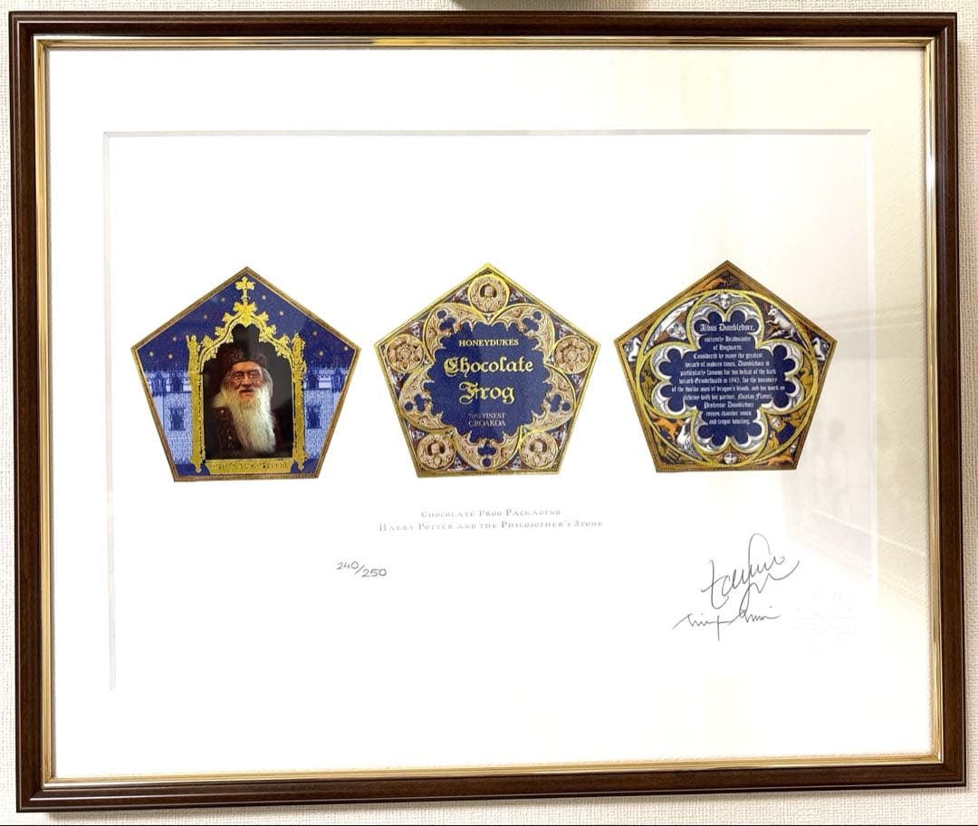 ハリーポッター　ミナリマ アートプリント　蛙チョコパッケージグラフィックアート