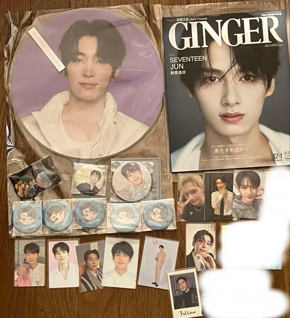 SEVENTEEN ウォヌ　ジュン　うちわ　缶バッジ トレカ　GINGER