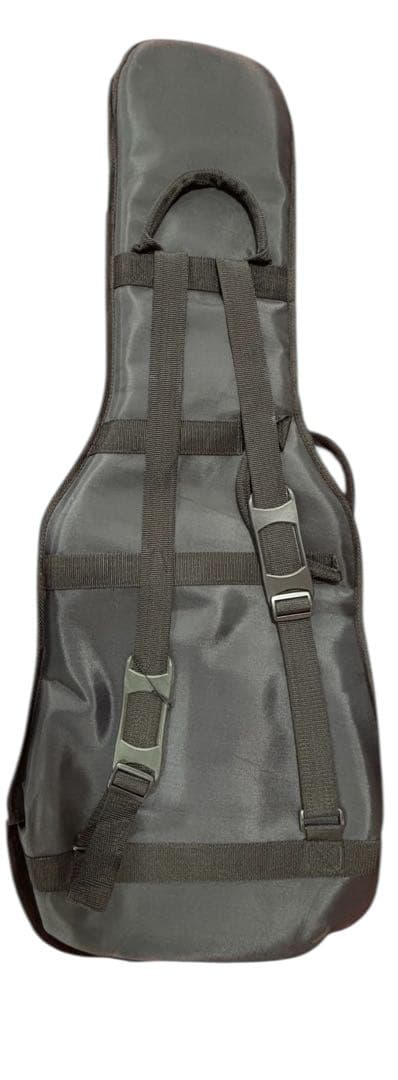 Godin エレキギター