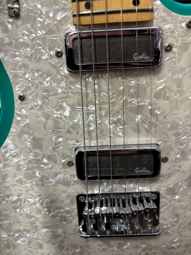 Godin エレキギター