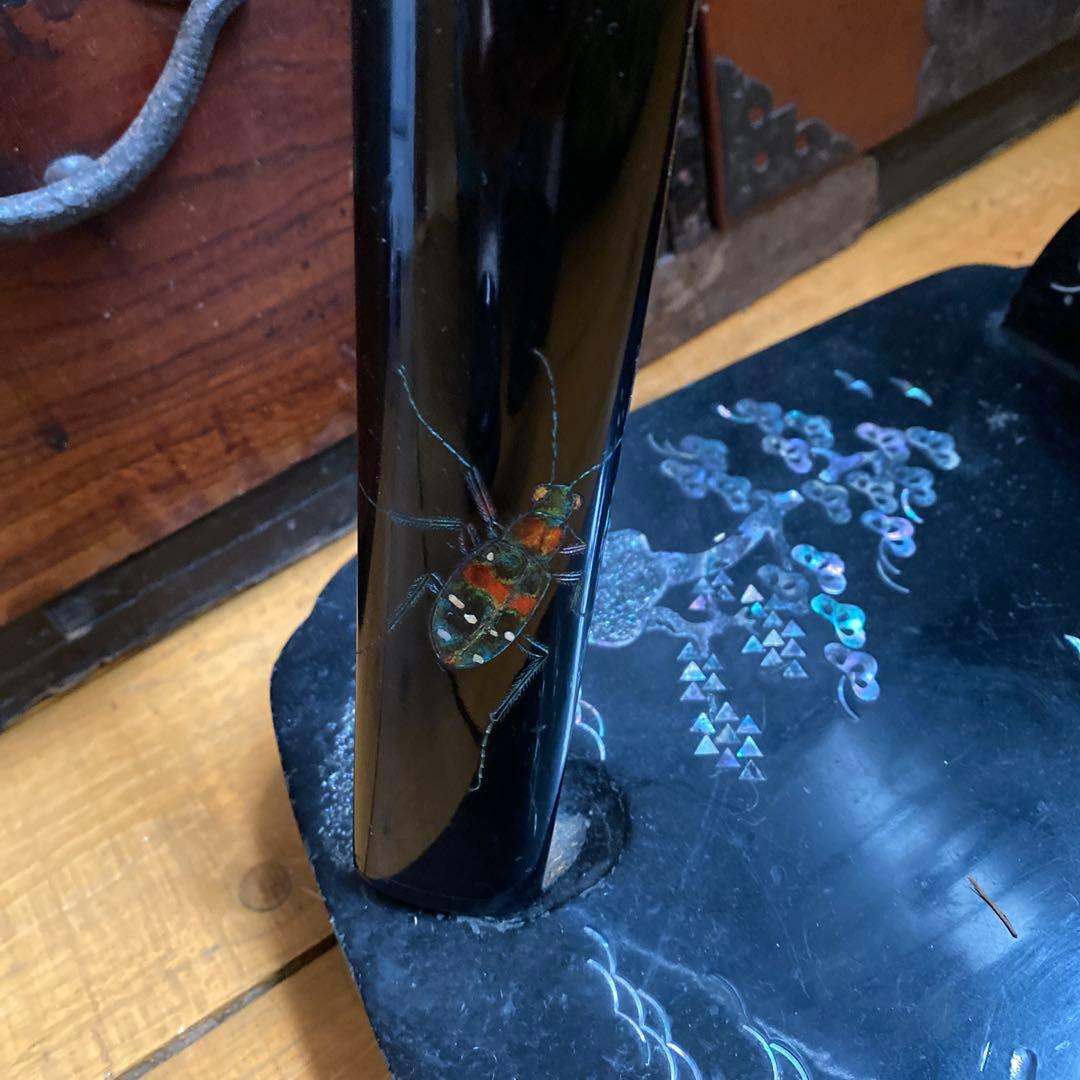 刀剣　模造刀　漆塗り　蝉　蟲　サムライ　SAMURAI 武士