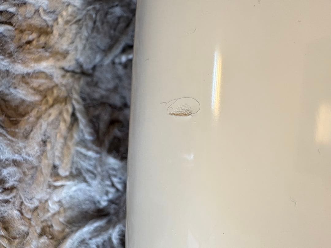 fender japan PJ フジゲン製