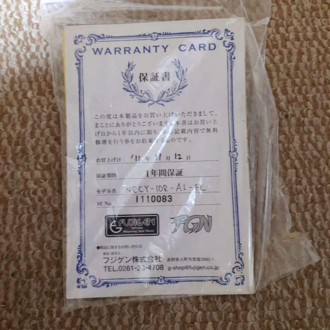 FGNDiMarzioピックアップ搭載エレキギター純正ギグケース付き