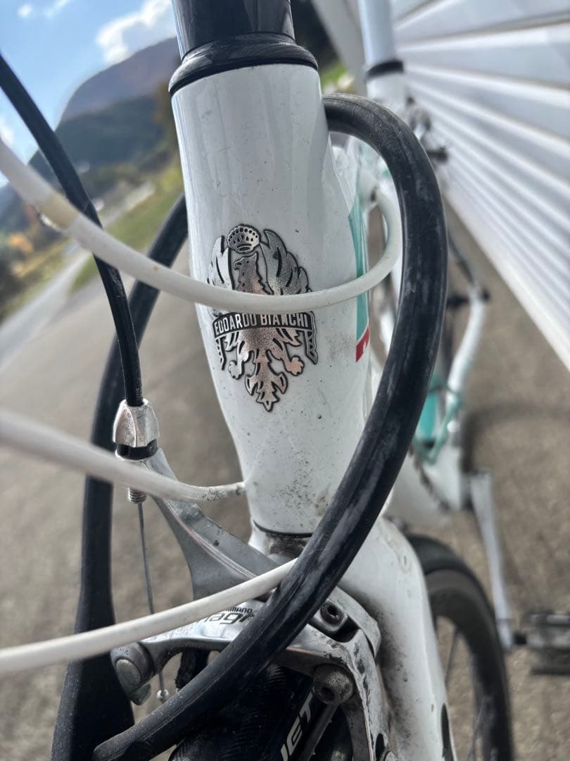 Bianchi 2012限定モデル 100 STRADE 完成車