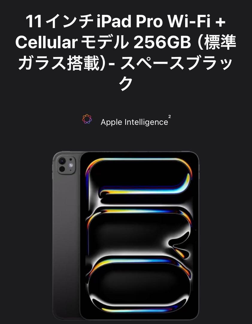 iPad Pro M4 11インチ セルラー 256GB+マジックキーボード