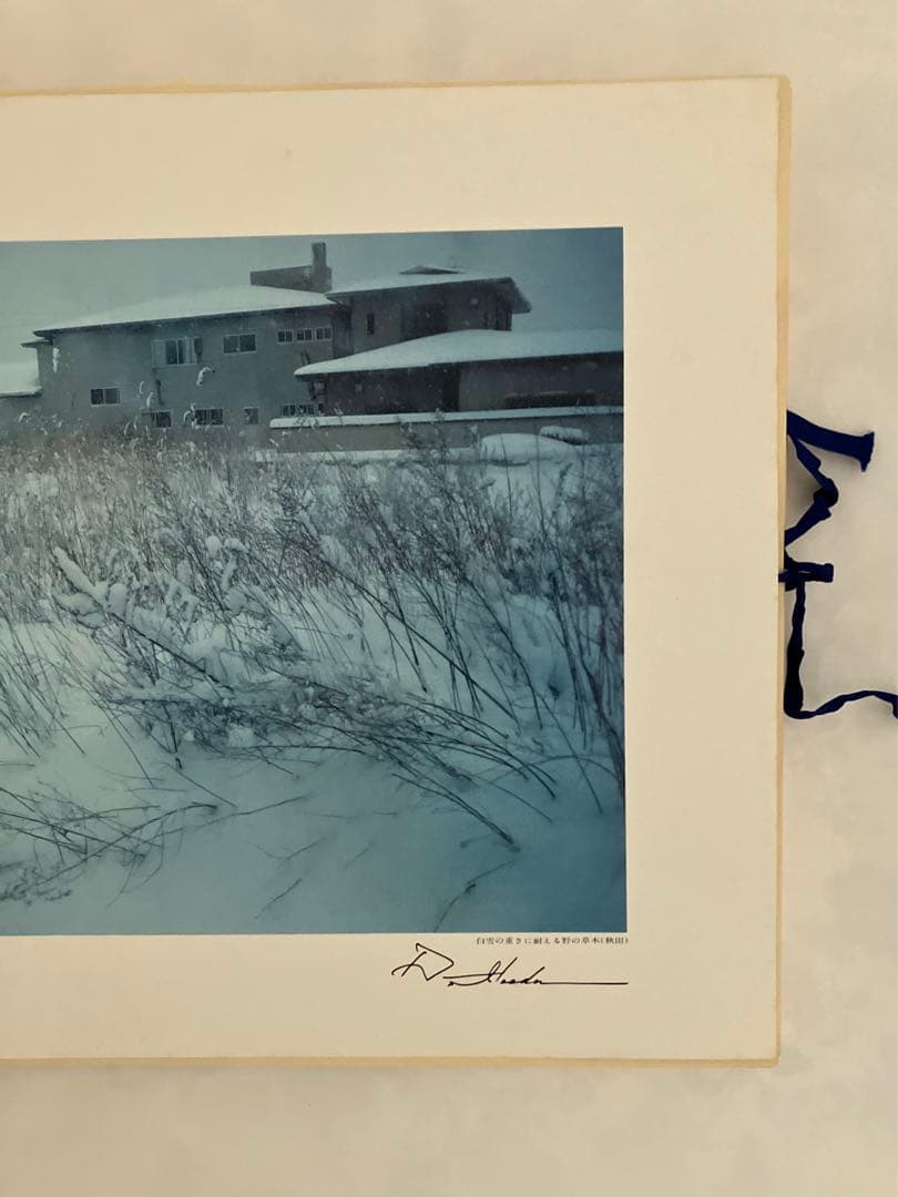 押印　池田大作写真集　平和と文化の光　創価学会名誉会長　貴重vol 1〜5非売品