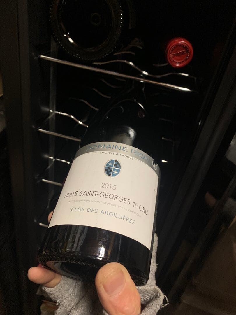 パトリスリオン　ニュイサンジョルジュ クロ デ　アルジリエール