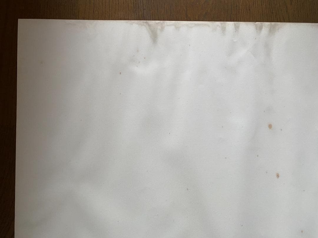 ジャンルー・シーフ　1994年大型ポスター　直筆サイン入り　貴重