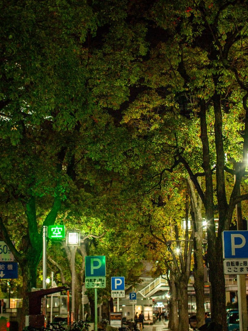 SIGMA シグマ EX 30mm F1.4 DC HSM フォーサーズマウント