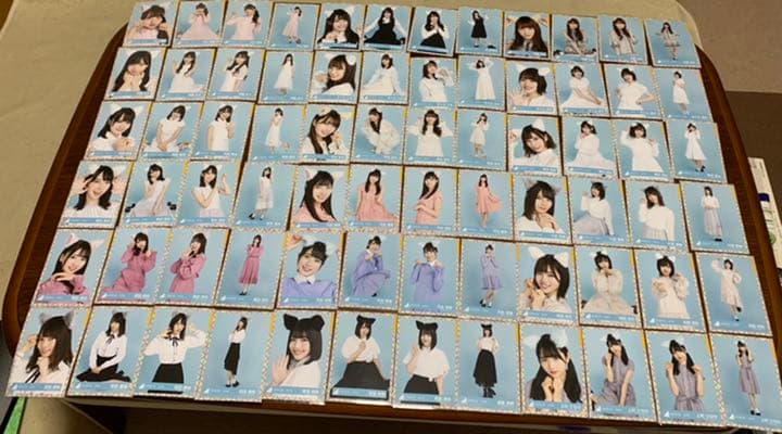 日向坂 猫耳 生写真 全メンバー コンプ