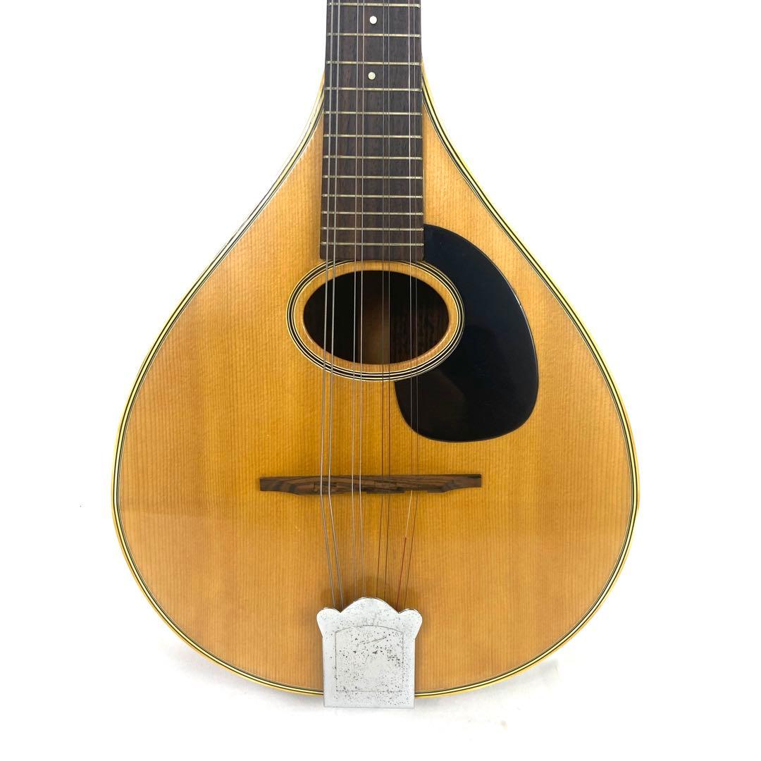 Jumbo 田原楽器 フラットマンドリン 弦楽器