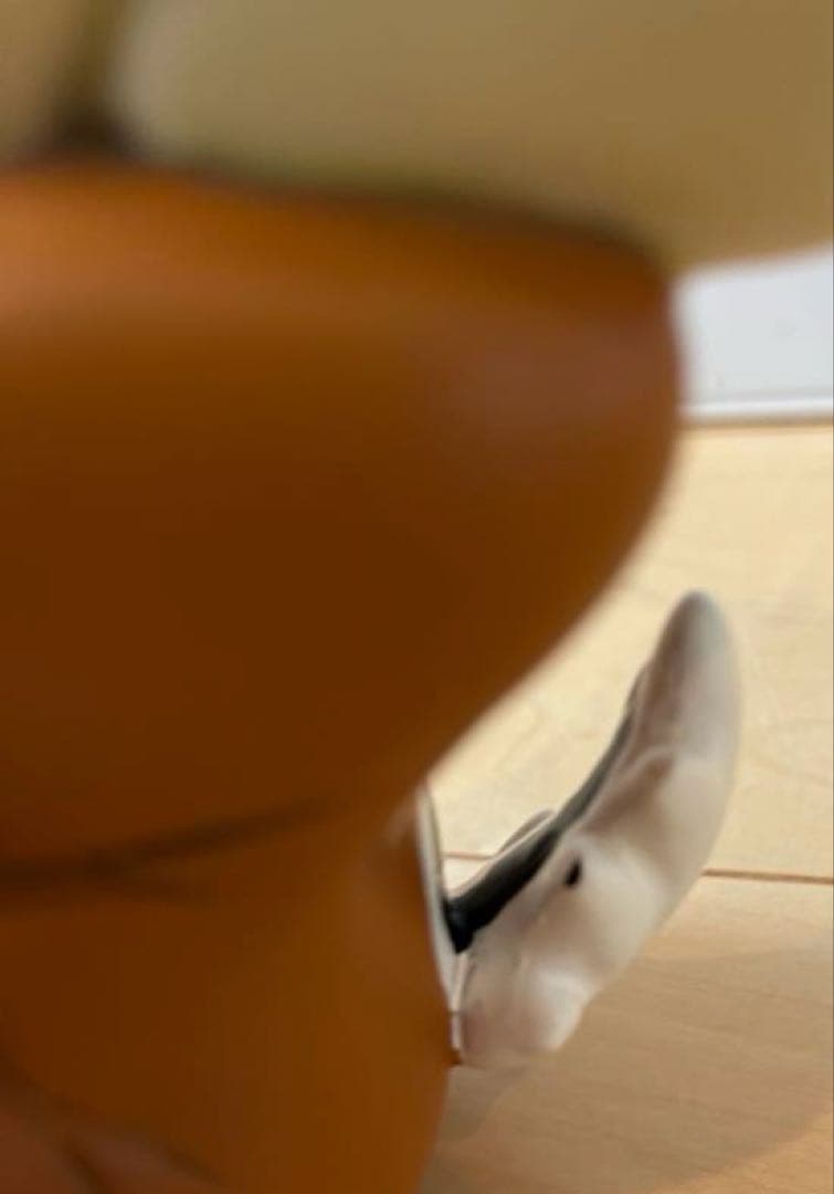 まるすけ【レア箱付き】ディズニー チップとデール ピーナッツ フィギュア