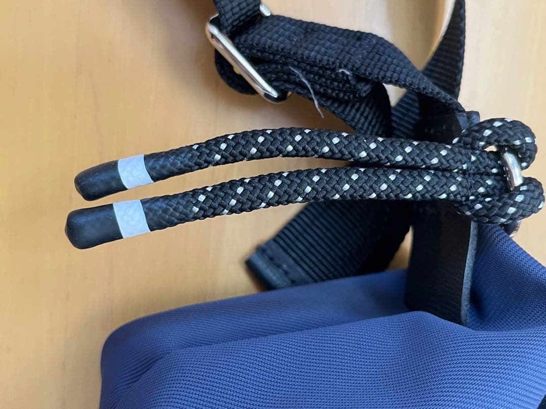 ロンシャンエナジー　ショルダーバッグXSサイズネイビー