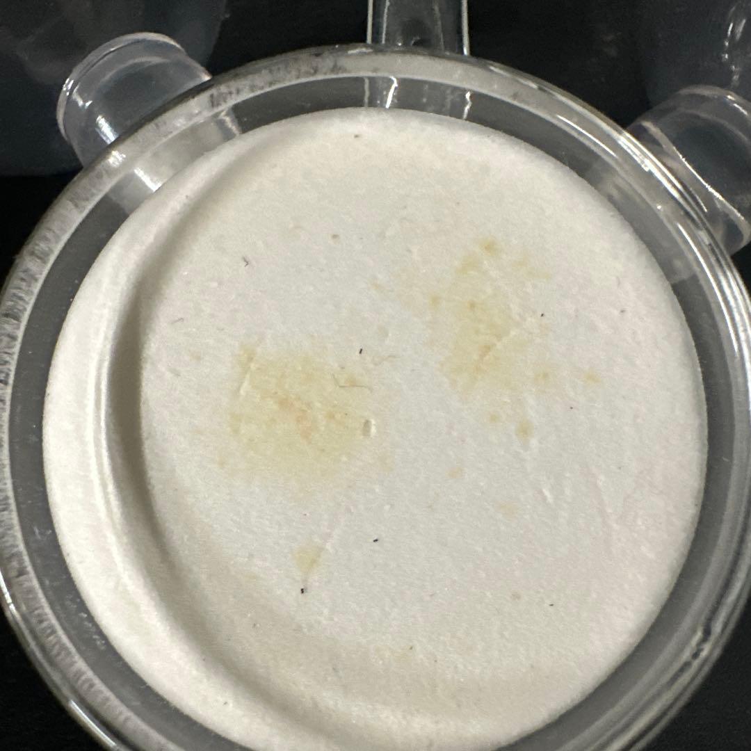 水槽用品 ADA Pollen Glass Beetle 40