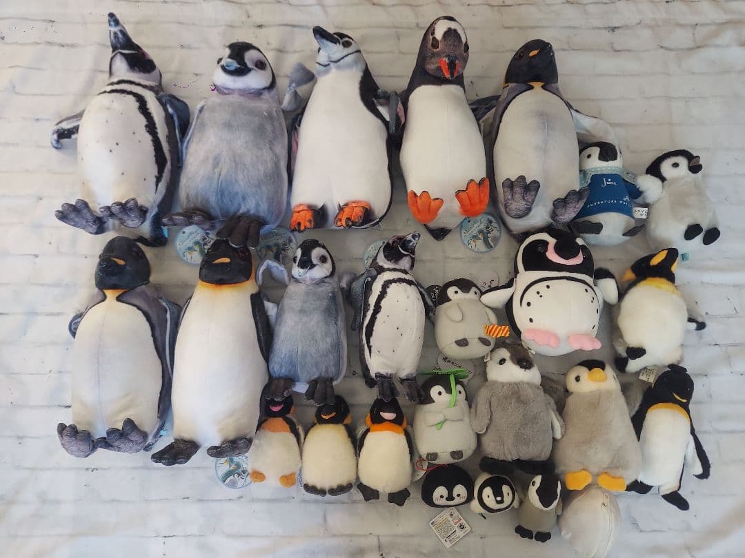 ペンギン　ぬいぐるみ　リアル　まとめ売り　セット　大量　コウペンちゃん