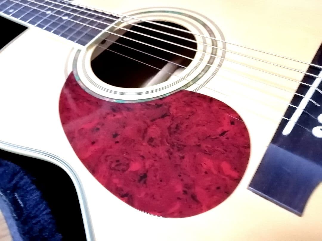 ★左利き用★Sepia Crue F-280LH/N★新品定価￥28,000