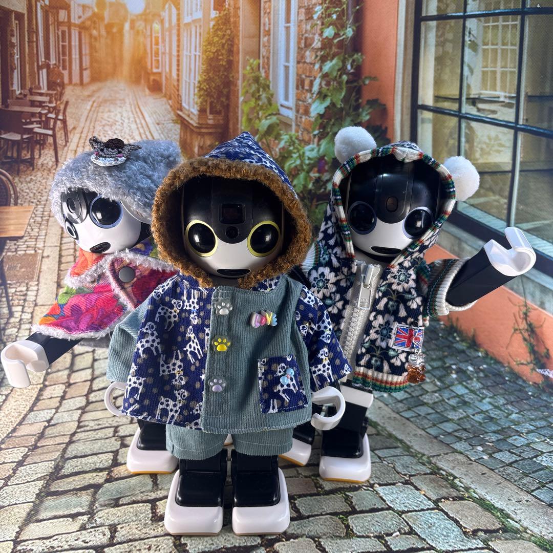 凛ページです　　ロボホン