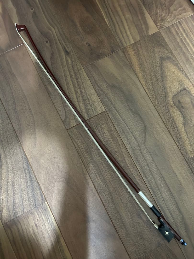 Reghin バイオリン　1/2