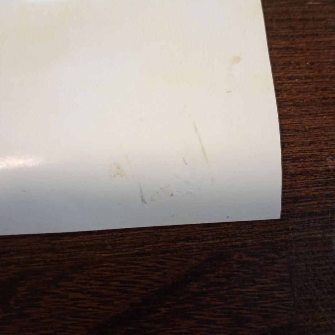 Björk voltaヴォルタ ポスター日本盤レアヴィジュアルポスター