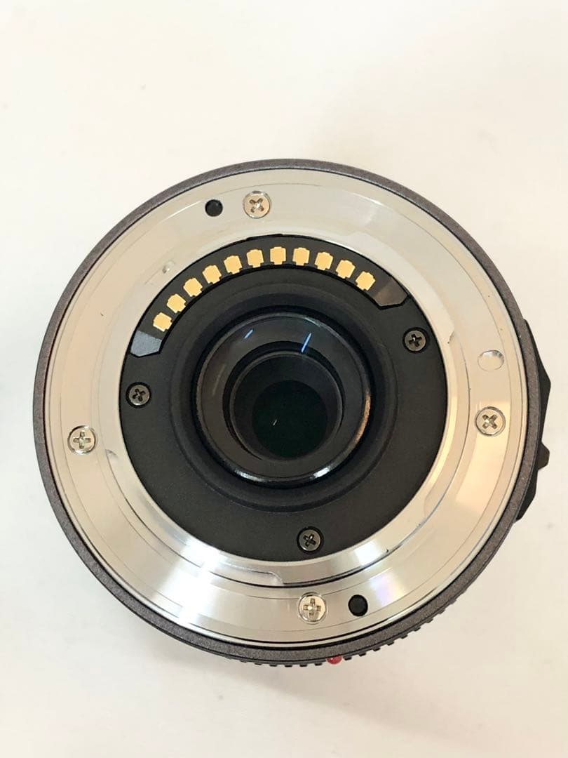 レンズ(ズーム) Panasonic LUMIX G VARIO 14-45mm