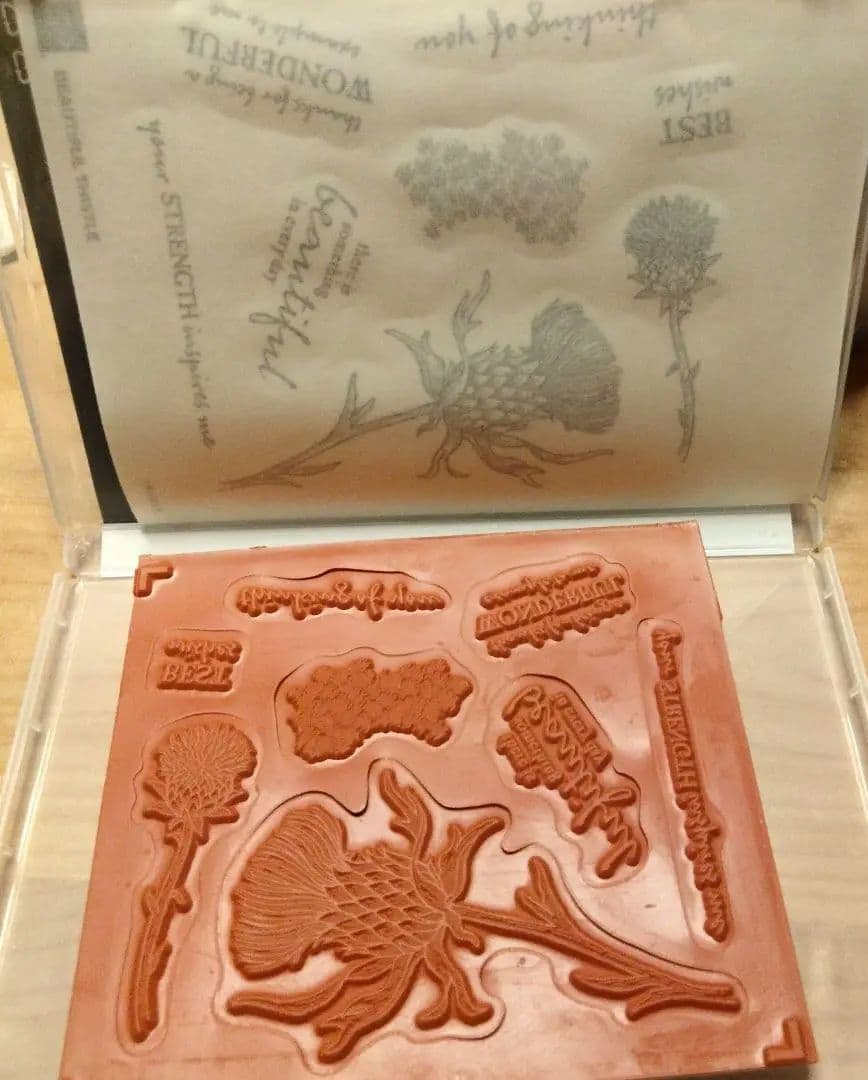 未使用　存在感あるお花スタンプ＆ダイ　スタンピンアップ