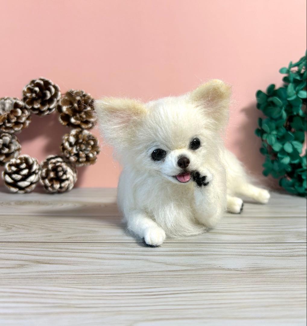 羊毛フェルト　毛づくろいチワワちゃん　10