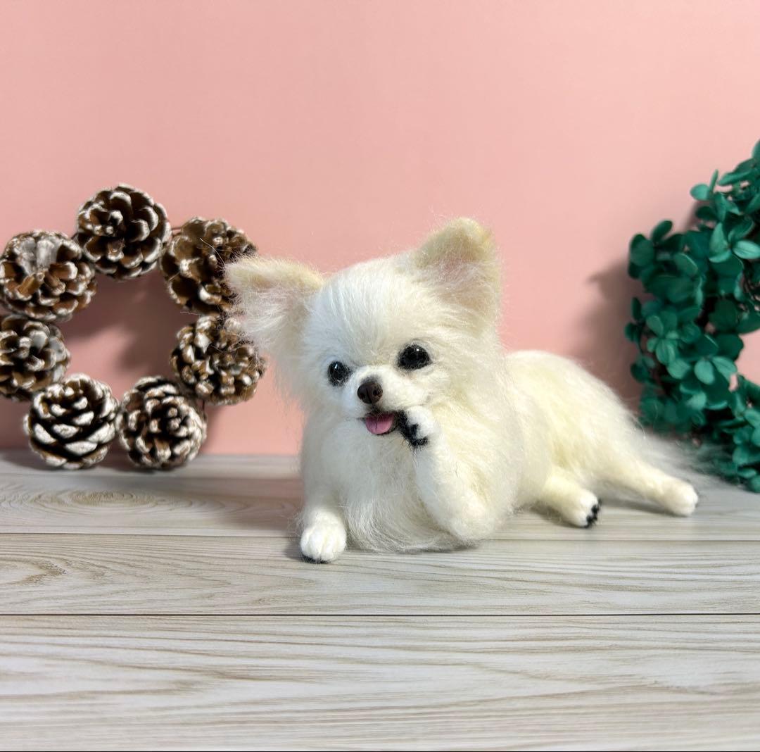 羊毛フェルト　毛づくろいチワワちゃん　10