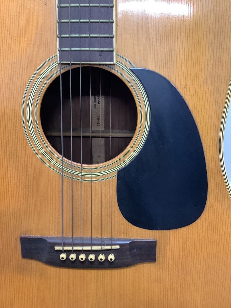 アコースティックギター Takamine Elite TW-40 ハードケース付