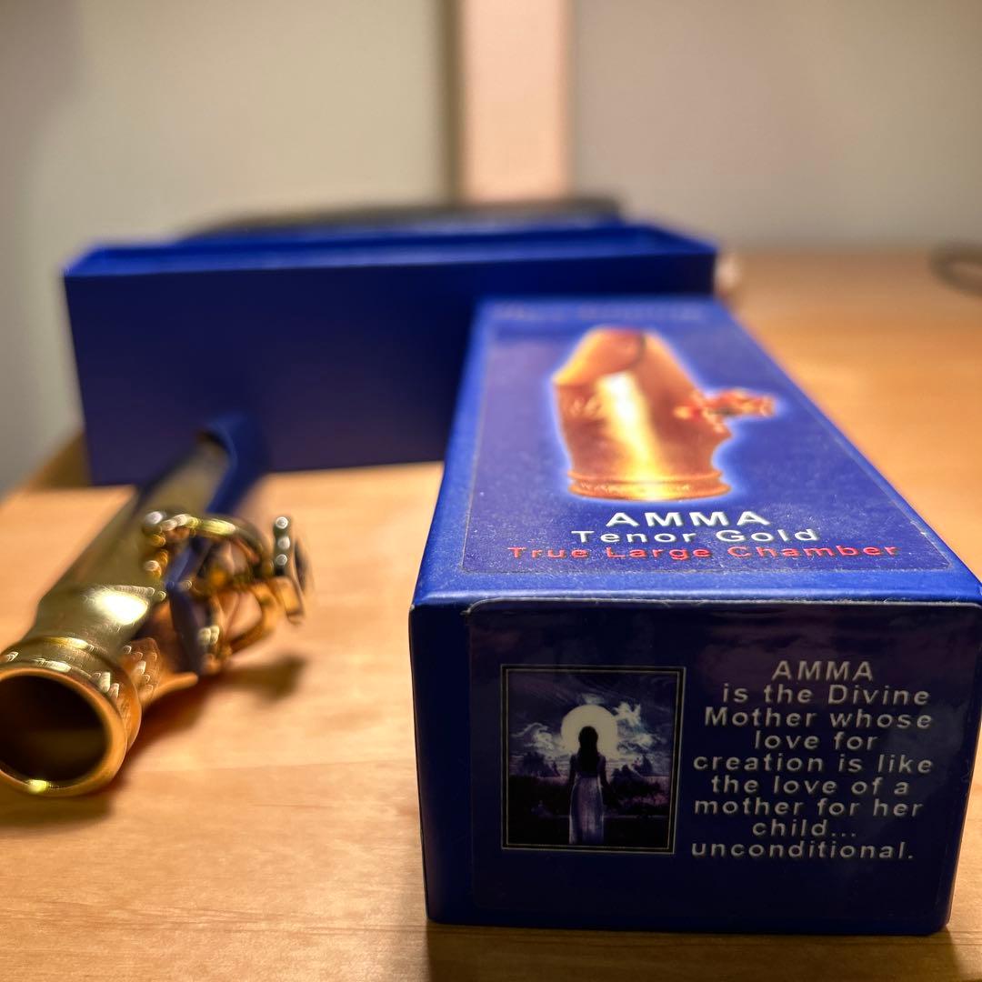 Theo Wanne AMMA 7⭐︎ テナーサックスマウスピース