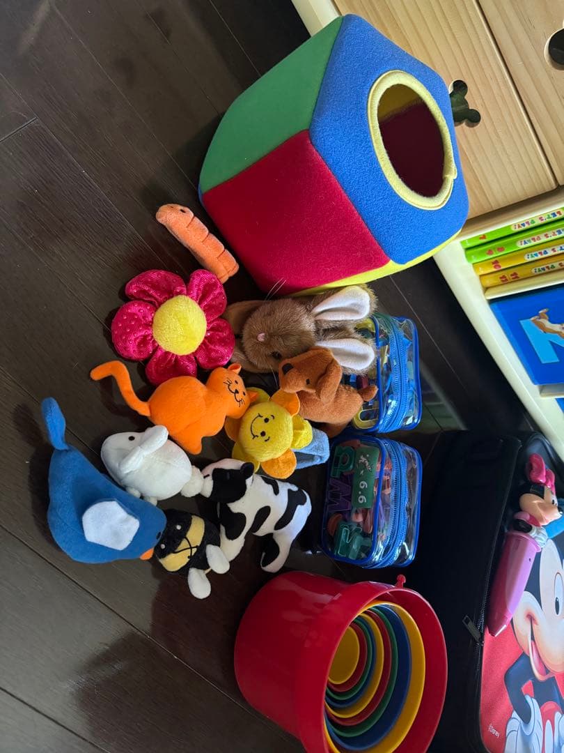 ディズニーワールドオブイングリッシュ⭐︎フルセット↓細かくお伝えします