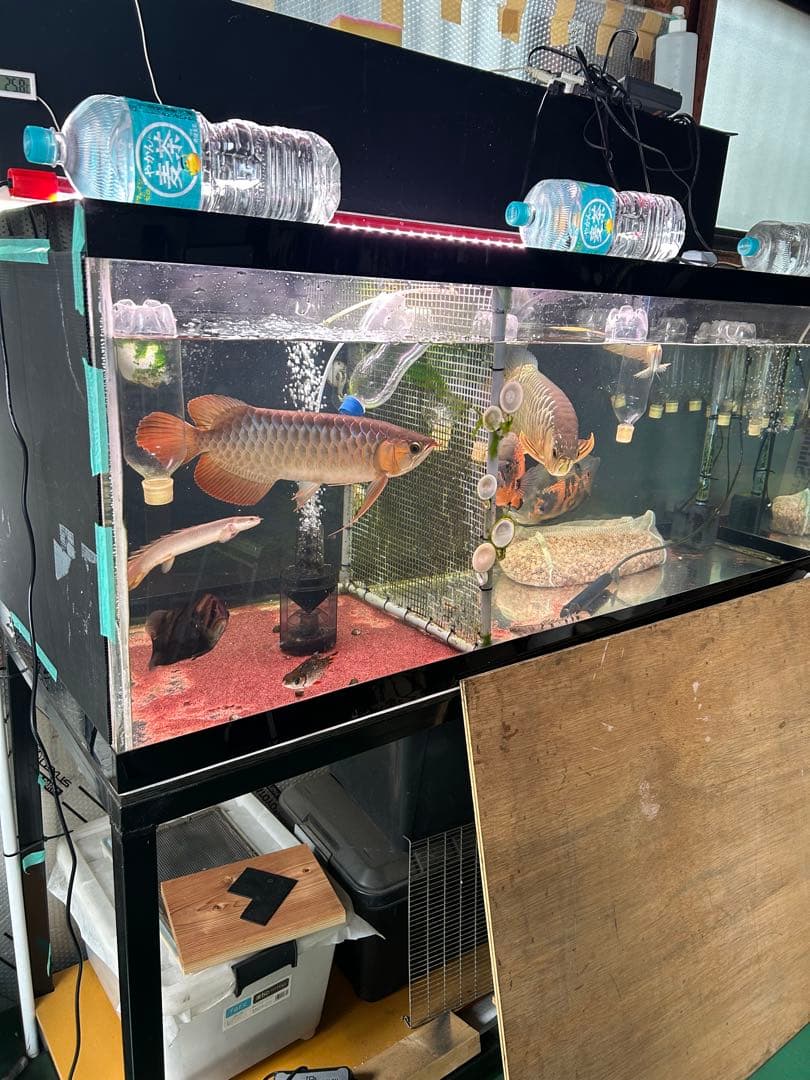 最終値下げ。アクリル水槽1500/600/600