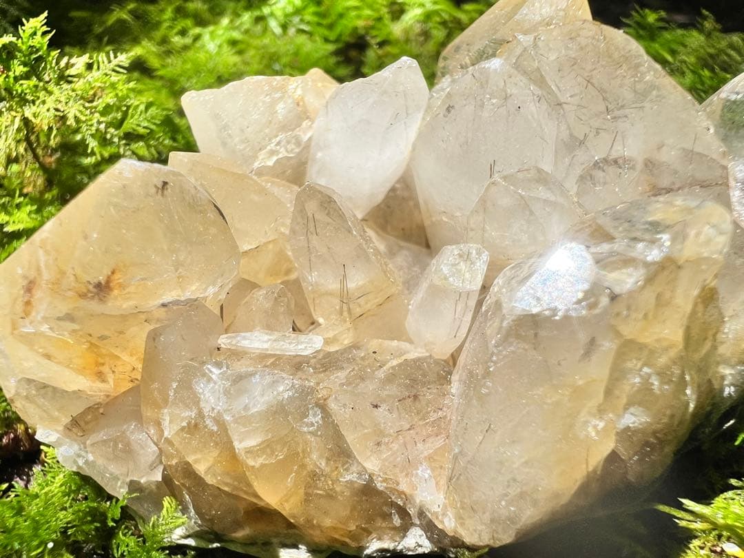 龍脈の精髄 国産ブラックルチル水晶クラスター売上一部保護猫活動に