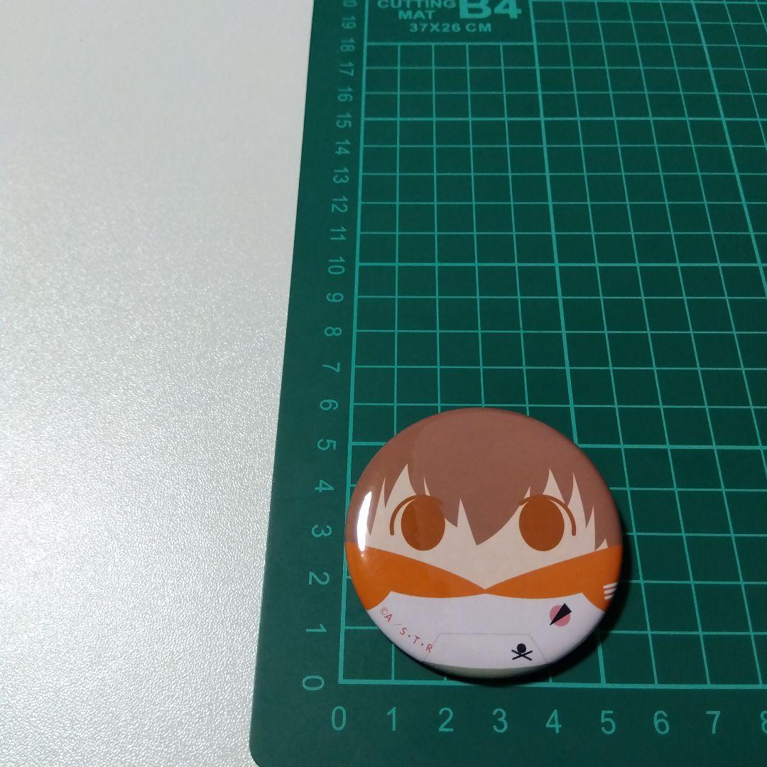 【REBORN!】沢田綱吉 ツナ たまっぷ 缶バッジコレクション リボーン