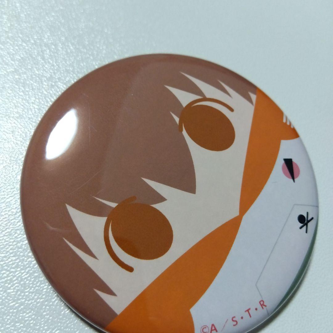 【REBORN!】沢田綱吉 ツナ たまっぷ 缶バッジコレクション リボーン