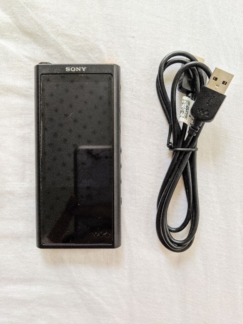 再生時間15時間 NW-ZX300 WALKMAN ソニー ウォークマン