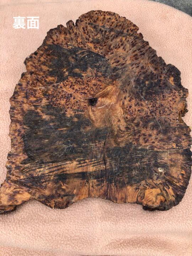 青森ヒバ　うずら模様　1枚板　こぶ板