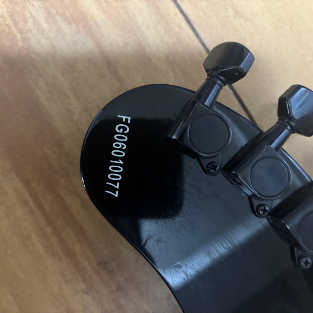 FERNANDES DIGI-ZO HYPER BR 極上品　動作良好 スカル