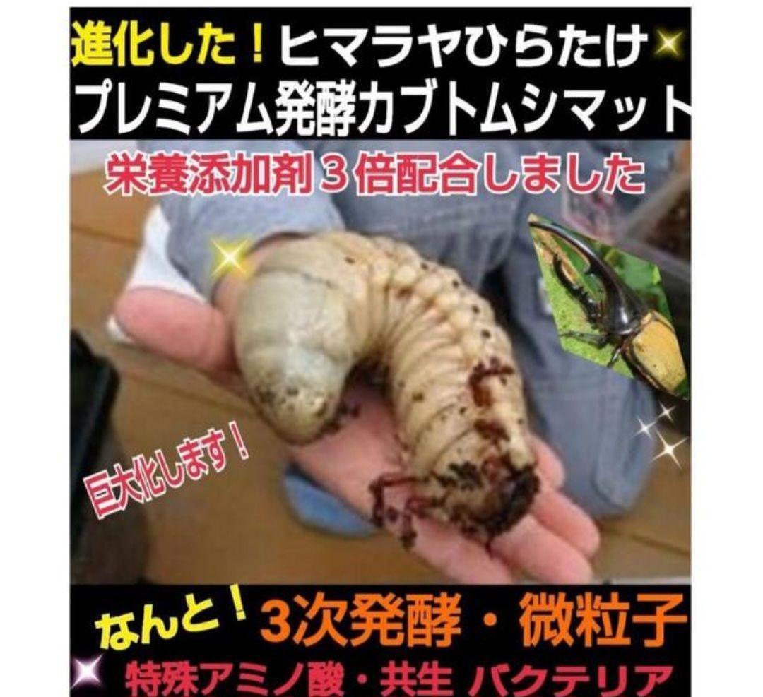 ヘラクレスに抜群！プレミアム3次発酵カブトムシマット【たっぷり60リットル】
