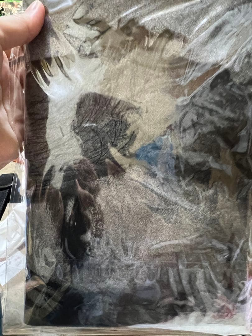 yasuhiro178　稲葉浩志　只者　懸賞tシャツ ポス